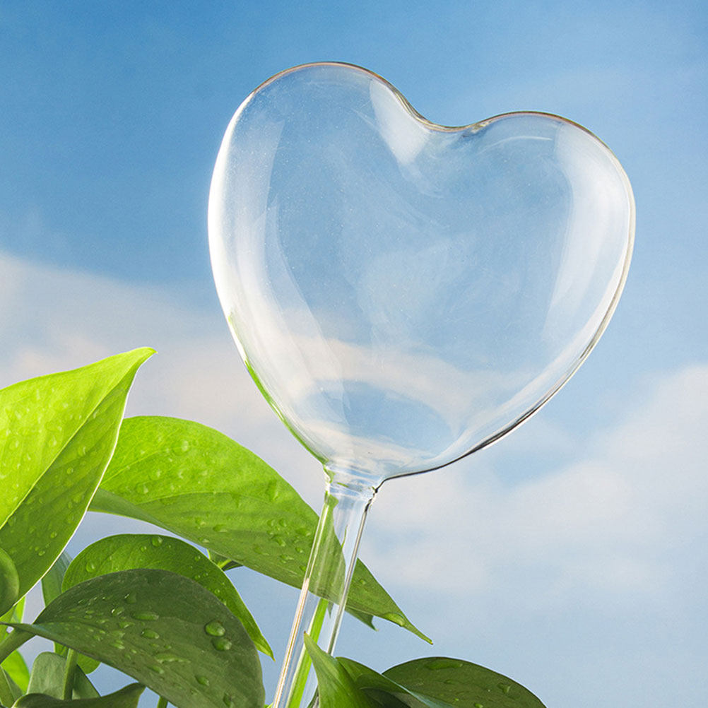 Plant Parent - 3 adet kalp şeklinde cam kendi