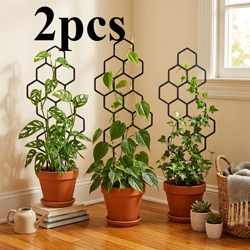 Plant Parent - İki Tırmanıcı Bitki Eğitim Cihazı, Tırmanan