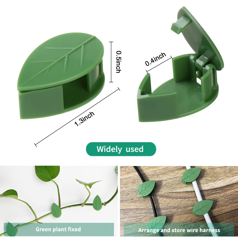 1-50 adet görünmez bitki duvar - Plant Parent incelemesi ve fiyatı