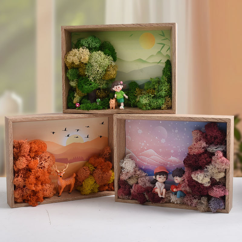 Deniz Yosunu Sanatı DIY Seti - - Plant Parent Gift Set incelemesi ve fiyatı