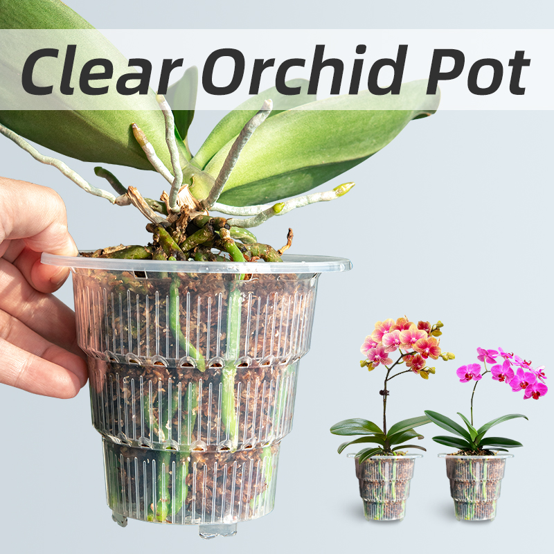 Meshpot Şeffaf Plastik Orkide  - Plant Parent incelemesi ve fiyatı